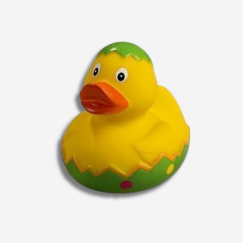 Image of Easter Duck