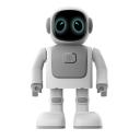 Image of Robert The Dancing Robot